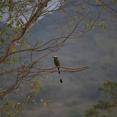 Tierra Alta Ecolodgeマタガルパ エクステリア 写真